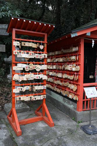 斜光｜写真テクニックガイド