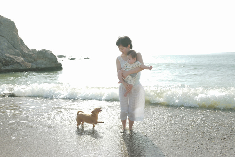 絞り、シャッタースピード、ISO感度の基本を簡単に解説