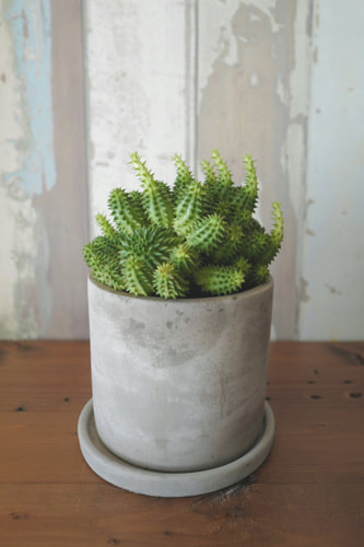 ライカを使うのは哲学だと想うのです