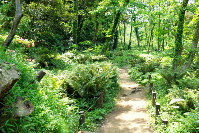 作品撮りはコンセプトと準備が重要