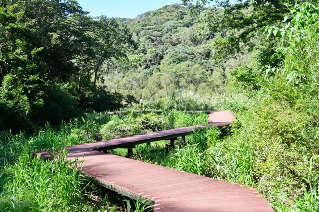 作品撮りはコンセプトと準備が重要