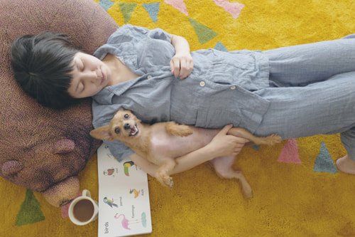 お家でおしゃれな写真を撮るアイデア 太陽(外の)光を活かす