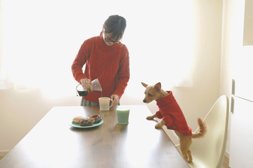 お家でおしゃれな写真を撮るアイデア 日頃からインテリアにこだわる