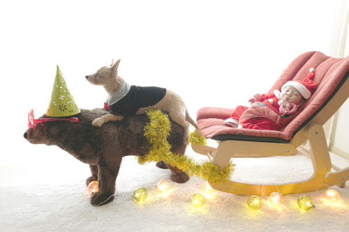 お家でおしゃれな写真を撮るアイデア イベントはハッピーに撮る