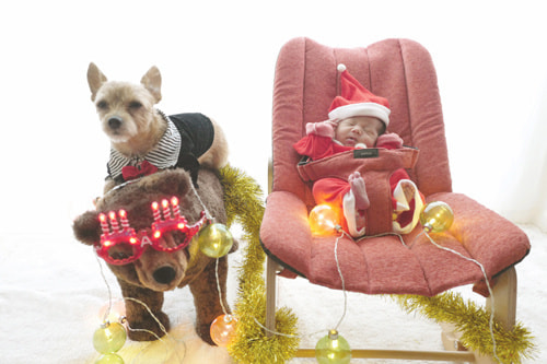 お家でおしゃれな写真を撮るアイデア イベントはハッピーに撮る