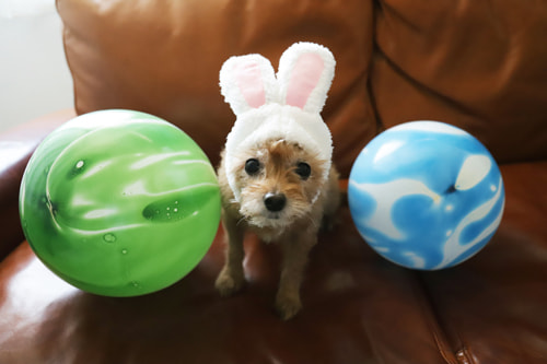 お家でおしゃれな写真を撮るアイデア 風船など小道具を使った写真