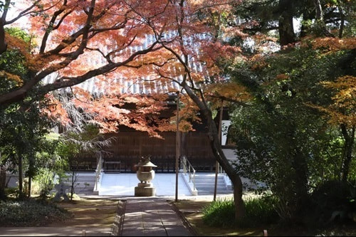 出張写真教室(フォトレッスン) 風景＆スナップ写真