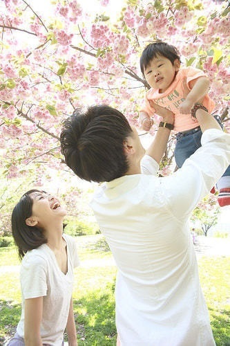 桜をおしゃれに撮るアイデア