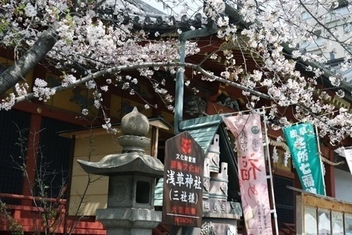 桜をおしゃれに撮るアイデア