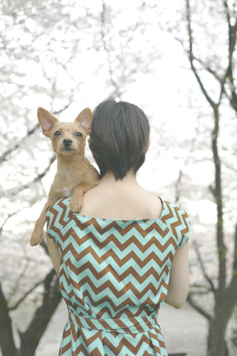 LeicaQ typ116 Summilux28mm F1.7 ASPH｜作例｜桜