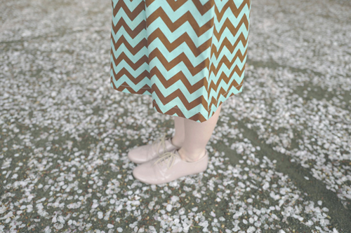 LeicaQ typ116 Summilux28mm F1.7 ASPH｜作例｜女性と犬