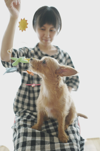 LeicaQ typ116 Summilux28mm F1.7 ASPH｜作例｜モビール