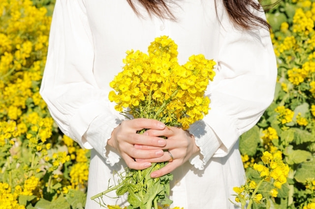 光を操る｜作例｜菜の花ポートレート｜菜の花の撮り方｜初心者でも映えるコツとおすすめ構図