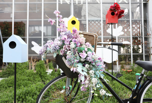 比較写真＝アフター