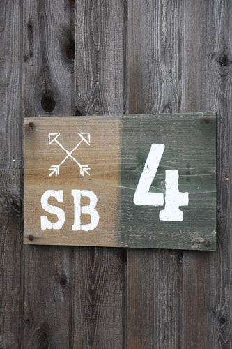 やや右から撮影