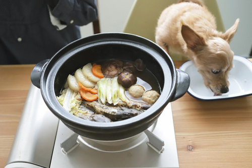 三崎港エギング教室