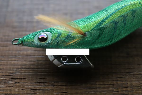 エギ概念の水平の見本２