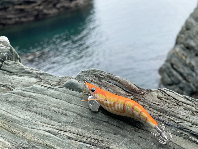 夜のエギングは難しい？見えない？ライトは？ケイムラは釣れる