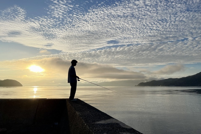 エギングは回遊待ちが正解？居つきを狙うことで釣果が伸びます