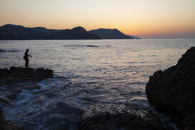 エギングのしゃくり、フォール、アタリ、シャクリ合わせについての私見