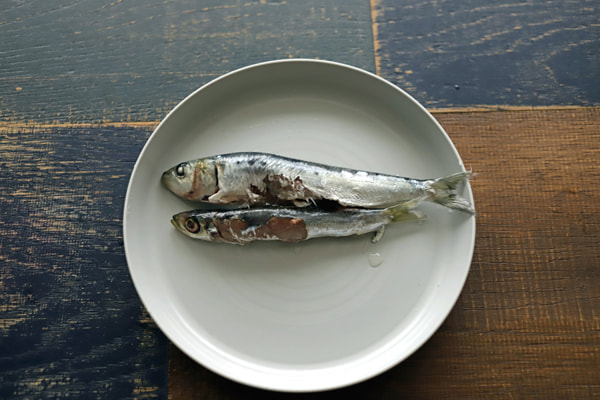 いわしの切り身