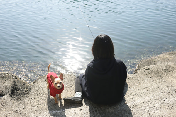 釣り場を開拓して自分だけのお気に入りポイントを見つけよう