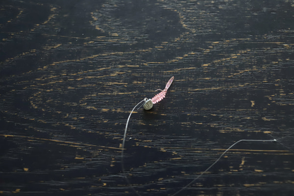 オキアミワーム