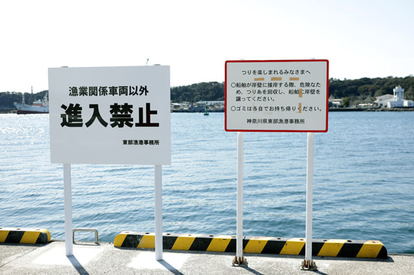 通り矢堤防(田中堤防)