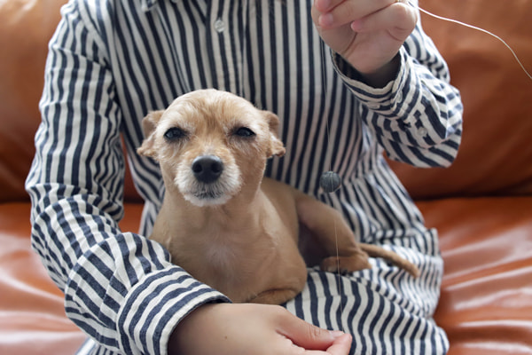 ライトゲーム、ちょい投げ