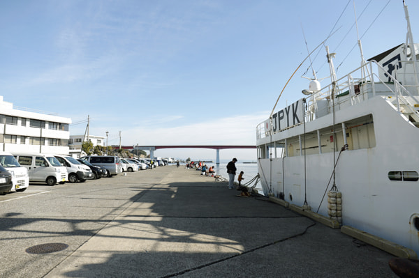 三崎港 釣果 花暮岸壁