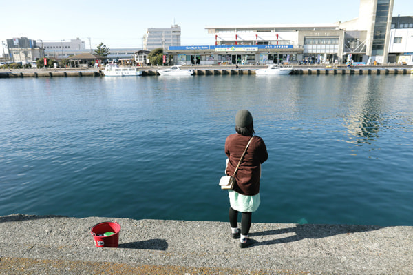 三崎港 釣果 うらりマルシェ前