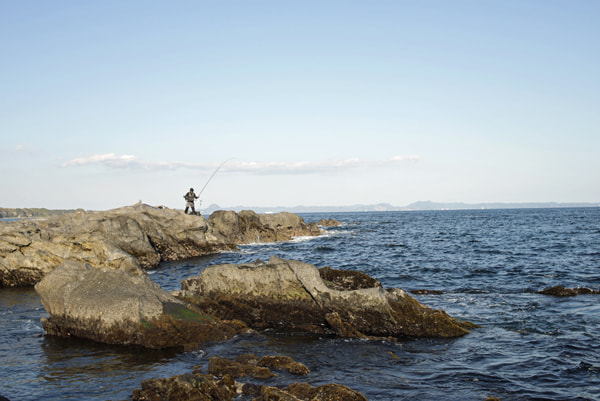 城ヶ島アジング