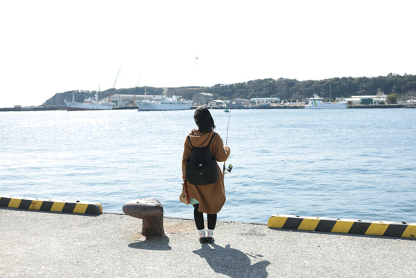 通り矢堤防(田中堤防) アジング