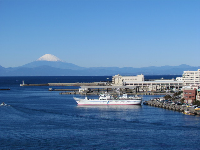 三崎港 釣り 混雑