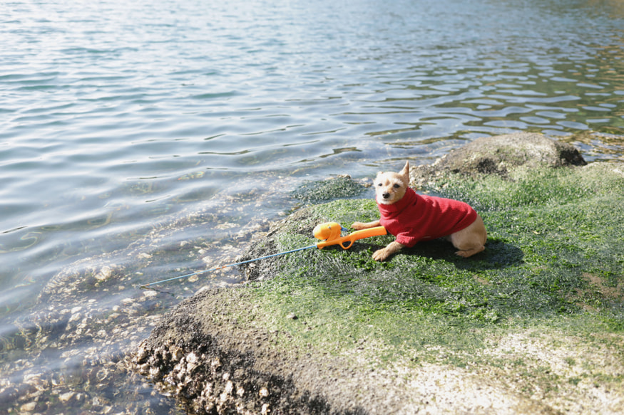三浦半島の釣り場