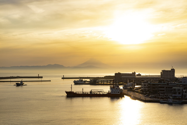 三崎港 釣れない