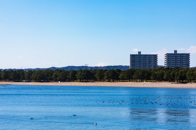八景島(海の公園) 