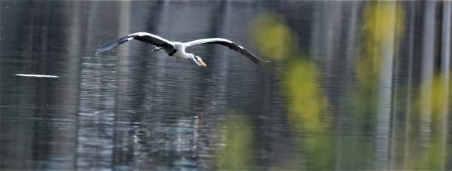 雨 海釣り 釣れる