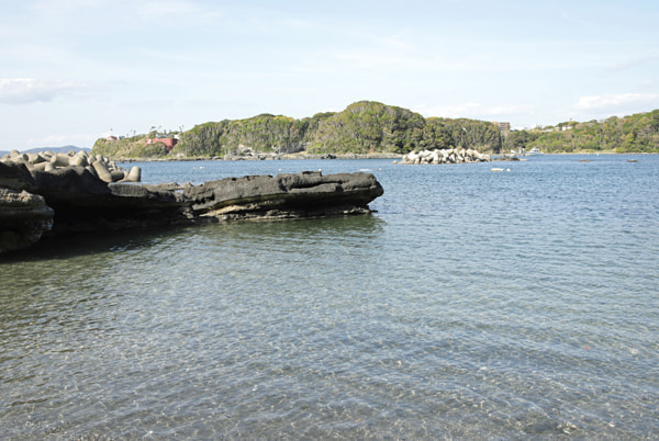 エギング イカ釣り 諸磯(浜諸磯、きつね浜)
