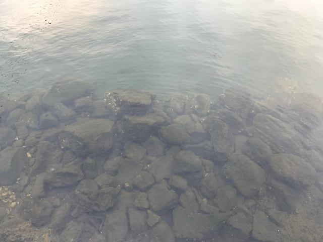 富津みなと公園