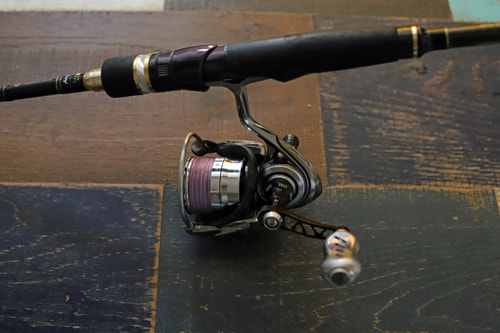 スクイッドマニア