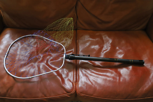 スケートボード